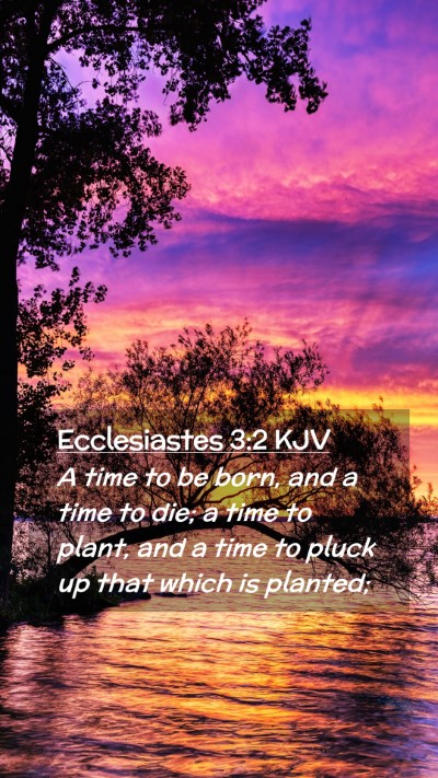 Picture 02 - Ecclesiastes 3:2 KJV Mobile Phone Wallpaper - A time to be born, and a time to die; a time to - Mobile Bible Verse Wallpaper