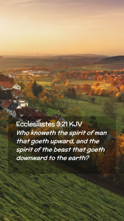 Picture 02 - Ecclesiastes 3:21 KJV Mobile Phone Wallpaper - Who knoweth the spirit of man that goeth upward, - Mobile Bible Verse Wallpaper