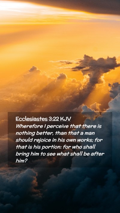 Picture 02 - Ecclesiastes 3:22 KJV Mobile Phone Wallpaper - Wherefore I perceive that there is nothing - Mobile Bible Verse Wallpaper