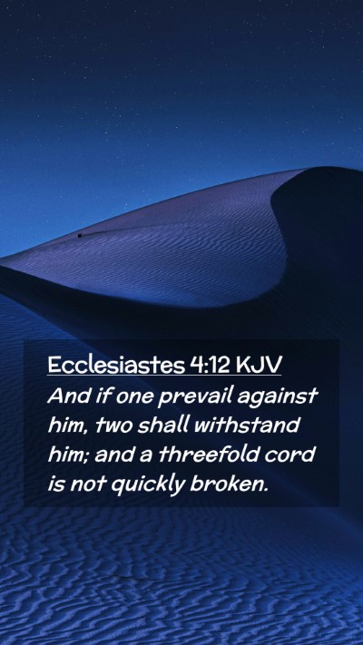 Picture 02 - Ecclesiastes 4:12 KJV Mobile Phone Wallpaper - And if one prevail against him, two shall - Mobile Bible Verse Wallpaper