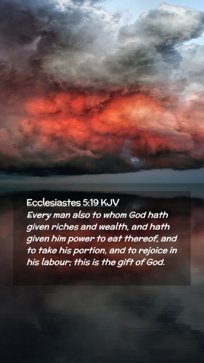 Picture 02 - Ecclesiastes 5:19 KJV Mobile Phone Wallpaper - Every man also to whom God hath given riches and - Mobile Bible Verse Wallpaper