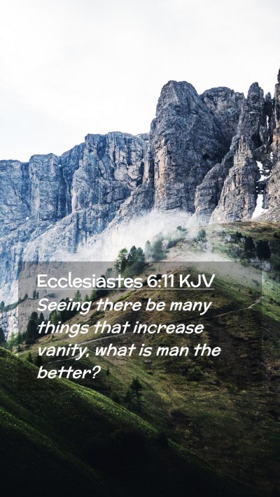 Picture 02 - Ecclesiastes 6:11 KJV Mobile Phone Wallpaper - Seeing there be many things that increase vanity, - Mobile Bible Verse Wallpaper