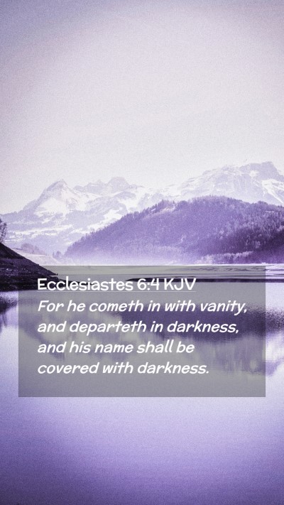 Picture 02 - Ecclesiastes 6:4 KJV Mobile Phone Wallpaper - For he cometh in with vanity, and departeth in - Mobile Bible Verse Wallpaper