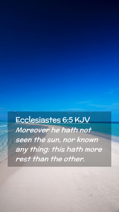Picture 02 - Ecclesiastes 6:5 KJV Mobile Phone Wallpaper - Moreover he hath not seen the sun, nor known any - Mobile Bible Verse Wallpaper