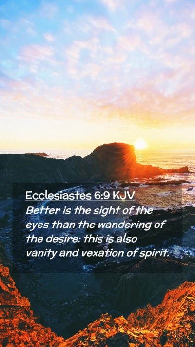 Picture 02 - Ecclesiastes 6:9 KJV Mobile Phone Wallpaper - Better is the sight of the eyes than the - Mobile Bible Verse Wallpaper