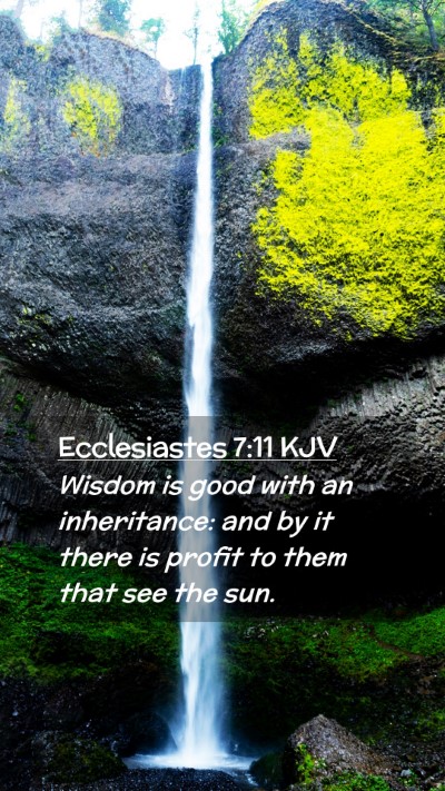 Picture 02 - Ecclesiastes 7:11 KJV Mobile Phone Wallpaper - Wisdom is good with an inheritance: and by it - Mobile Bible Verse Wallpaper