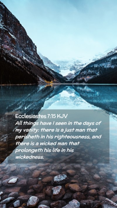 Picture 02 - Ecclesiastes 7:15 KJV Mobile Phone Wallpaper - All things have I seen in the days of my vanity: - Mobile Bible Verse Wallpaper