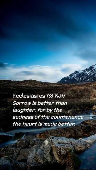 Picture 02 - Ecclesiastes 7:3 KJV Mobile Phone Wallpaper - Sorrow is better than laughter: for by the - Mobile Bible Verse Wallpaper