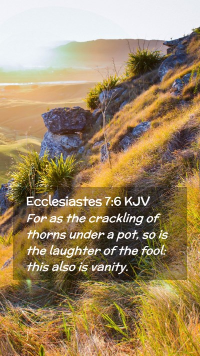Picture 02 - Ecclesiastes 7:6 KJV Mobile Phone Wallpaper - For as the crackling of thorns under a pot, so is - Mobile Bible Verse Wallpaper