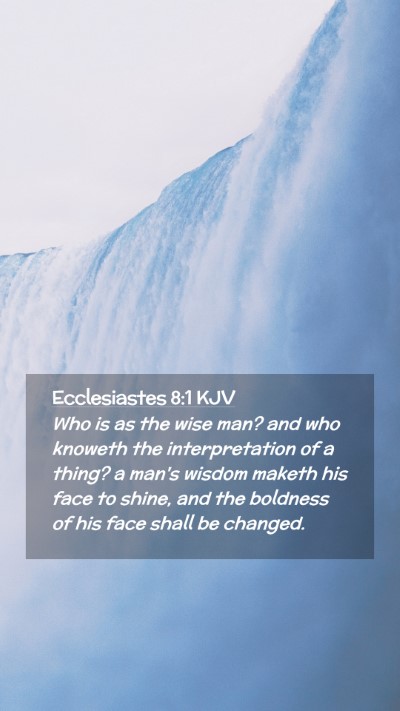 Picture 02 - Ecclesiastes 8:1 KJV Mobile Phone Wallpaper - Who is as the wise man? and who knoweth the - Mobile Bible Verse Wallpaper