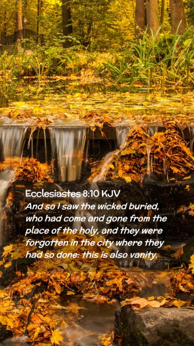 Picture 02 - Ecclesiastes 8:10 KJV Mobile Phone Wallpaper - And so I saw the wicked buried, who had come and - Mobile Bible Verse Wallpaper