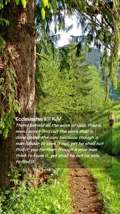 Picture 02 - Ecclesiastes 8:17 KJV Mobile Phone Wallpaper - Then I beheld all the work of God, that a man - Mobile Bible Verse Wallpaper