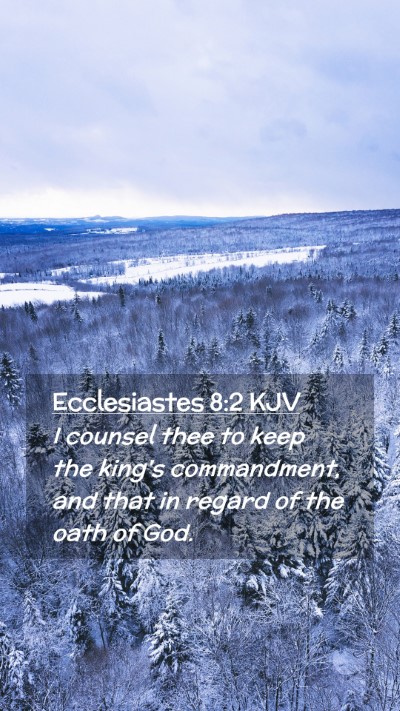 Picture 02 - Ecclesiastes 8:2 KJV Mobile Phone Wallpaper - I counsel thee to keep the king's commandment, - Mobile Bible Verse Wallpaper