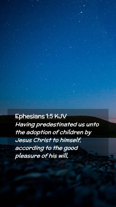 Picture 02 - Ephesians 1:5 KJV Mobile Phone Wallpaper - Having predestinated us unto the adoption of - Mobile Bible Verse Wallpaper