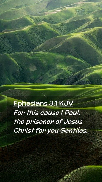 Picture 02 - Ephesians 3:1 KJV Mobile Phone Wallpaper - For this cause I Paul, the prisoner of Jesus - Mobile Bible Verse Wallpaper