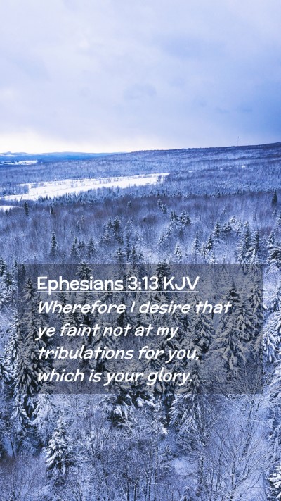 Picture 02 - Ephesians 3:13 KJV Mobile Phone Wallpaper - Wherefore I desire that ye faint not at my - Mobile Bible Verse Wallpaper