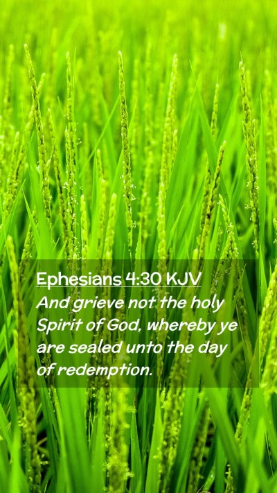 Picture 02 - Ephesians 4:30 KJV Mobile Phone Wallpaper - And grieve not the holy Spirit of God, whereby ye - Mobile Bible Verse Wallpaper