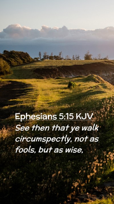 Picture 02 - Ephesians 5:15 KJV Mobile Phone Wallpaper - See then that ye walk circumspectly, not as - Mobile Bible Verse Wallpaper