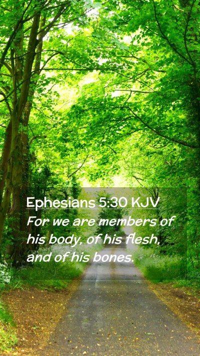 Picture 02 - Ephesians 5:30 KJV Mobile Phone Wallpaper - For we are members of his body, of his flesh, and - Mobile Bible Verse Wallpaper