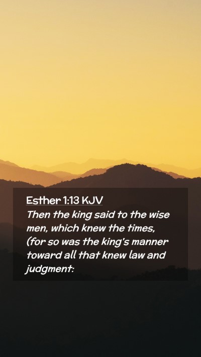 Picture 02 - Esther 1:13 KJV Mobile Phone Wallpaper - Then the king said to the wise men, which knew - Mobile Bible Verse Wallpaper
