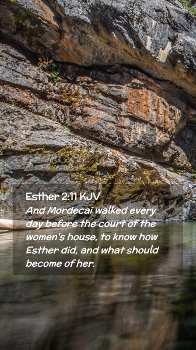Picture 02 - Esther 2:11 KJV Mobile Phone Wallpaper - And Mordecai walked every day before the court of - Mobile Bible Verse Wallpaper