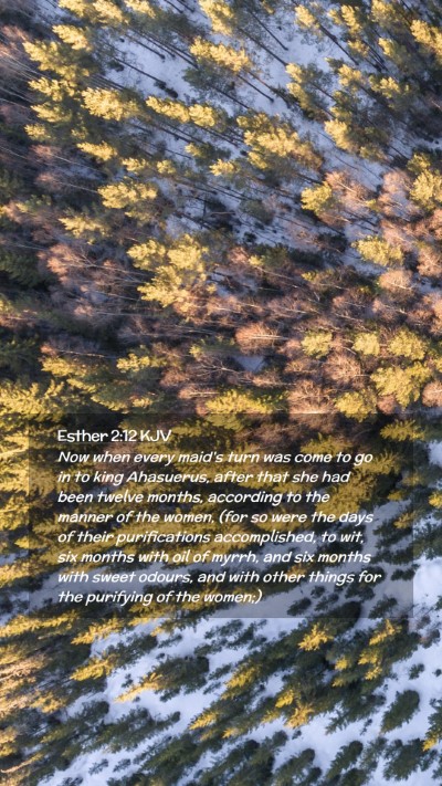 Picture 02 - Esther 2:12 KJV Mobile Phone Wallpaper - Now when every maid's turn was come to go in to - Mobile Bible Verse Wallpaper