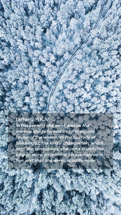 Picture 02 - Esther 2:14 KJV Mobile Phone Wallpaper - In the evening she went, and on the morrow she - Mobile Bible Verse Wallpaper