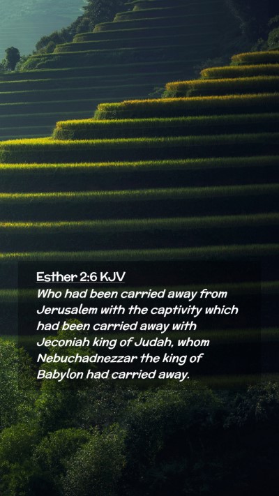 Picture 02 - Esther 2:6 KJV Mobile Phone Wallpaper - Who had been carried away from Jerusalem with the - Mobile Bible Verse Wallpaper