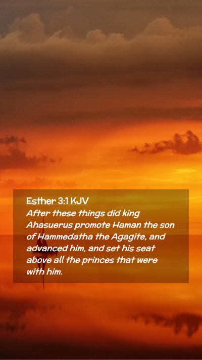 Picture 02 - Esther 3:1 KJV Mobile Phone Wallpaper - After these things did king Ahasuerus promote - Mobile Bible Verse Wallpaper