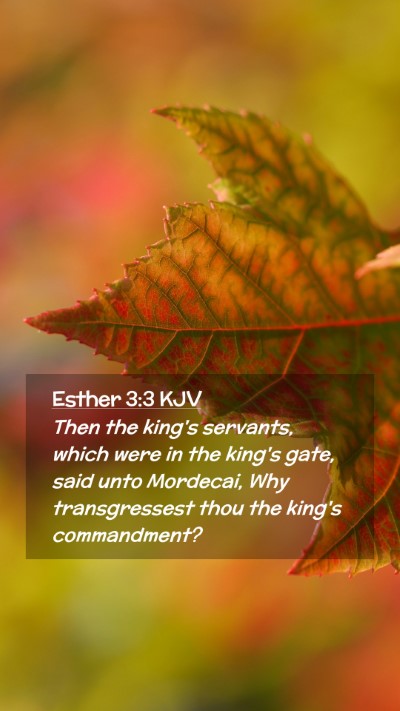 Picture 02 - Esther 3:3 KJV Mobile Phone Wallpaper - Then the king's servants, which were in the - Mobile Bible Verse Wallpaper