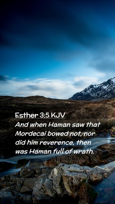 Picture 02 - Esther 3:5 KJV Mobile Phone Wallpaper - And when Haman saw that Mordecai bowed not, nor - Mobile Bible Verse Wallpaper