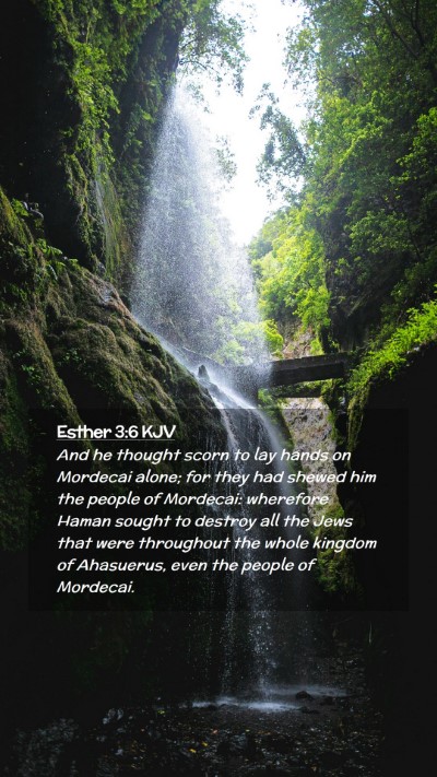 Picture 02 - Esther 3:6 KJV Mobile Phone Wallpaper - And he thought scorn to lay hands on Mordecai - Mobile Bible Verse Wallpaper