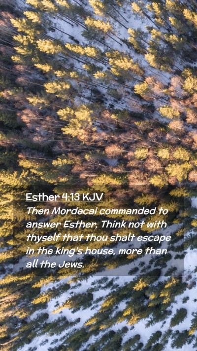 Picture 02 - Esther 4:13 KJV Mobile Phone Wallpaper - Then Mordecai commanded to answer Esther, Think - Mobile Bible Verse Wallpaper
