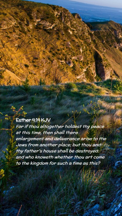 Picture 02 - Esther 4:14 KJV Mobile Phone Wallpaper - For if thou altogether holdest thy peace at this - Mobile Bible Verse Wallpaper