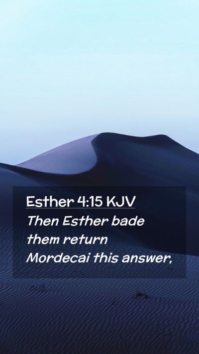 Picture 02 - Esther 4:15 KJV Mobile Phone Wallpaper - Then Esther bade them return Mordecai this - Mobile Bible Verse Wallpaper