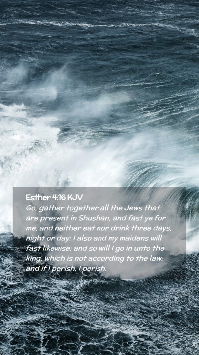 Picture 02 - Esther 4:16 KJV Mobile Phone Wallpaper - Go, gather together all the Jews that are present - Mobile Bible Verse Wallpaper