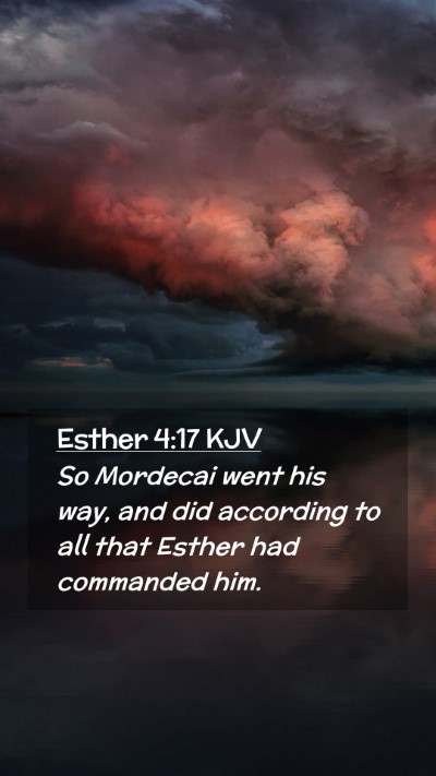 Picture 02 - Esther 4:17 KJV Mobile Phone Wallpaper - So Mordecai went his way, and did according to - Mobile Bible Verse Wallpaper