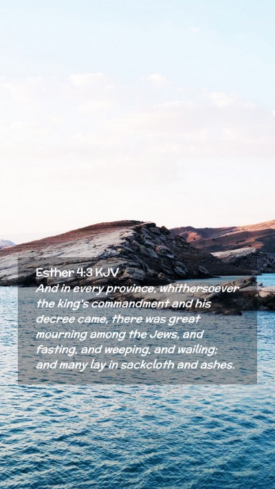 Picture 02 - Esther 4:3 KJV Mobile Phone Wallpaper - And in every province, whithersoever the king's - Mobile Bible Verse Wallpaper