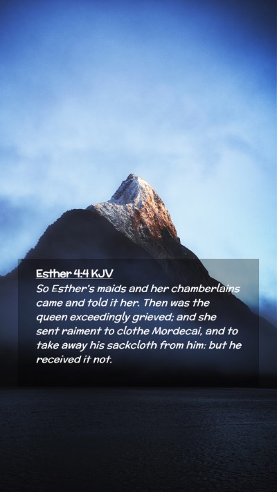 Picture 02 - Esther 4:4 KJV Mobile Phone Wallpaper - So Esther's maids and her chamberlains came and - Mobile Bible Verse Wallpaper