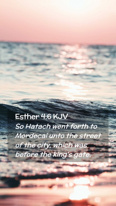 Picture 02 - Esther 4:6 KJV Mobile Phone Wallpaper - So Hatach went forth to Mordecai unto the street - Mobile Bible Verse Wallpaper