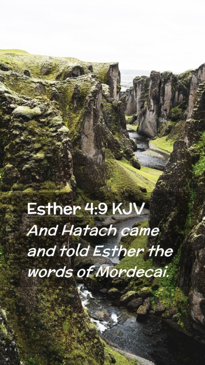 Picture 02 - Esther 4:9 KJV Mobile Phone Wallpaper - And Hatach came and told Esther the words of - Mobile Bible Verse Wallpaper