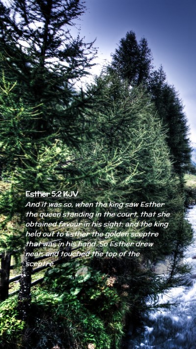 Picture 02 - Esther 5:2 KJV Mobile Phone Wallpaper - And it was so, when the king saw Esther the queen - Mobile Bible Verse Wallpaper