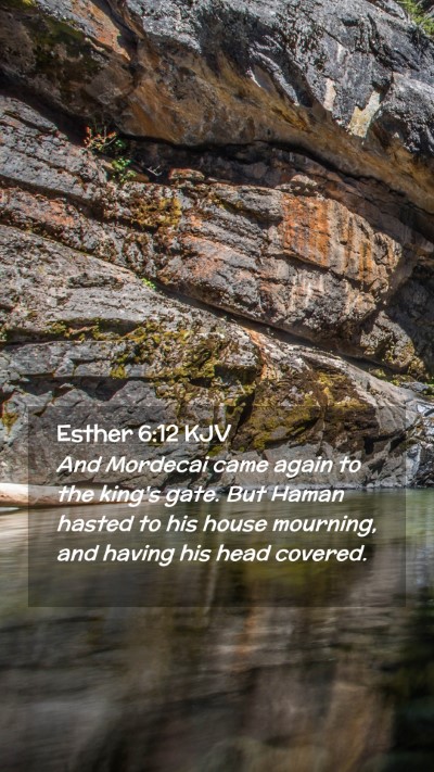 Picture 02 - Esther 6:12 KJV Mobile Phone Wallpaper - And Mordecai came again to the king's gate. But - Mobile Bible Verse Wallpaper