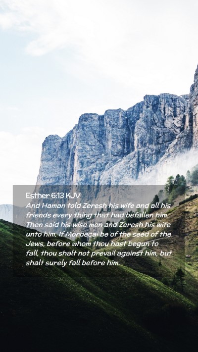 Picture 02 - Esther 6:13 KJV Mobile Phone Wallpaper - And Haman told Zeresh his wife and all his - Mobile Bible Verse Wallpaper