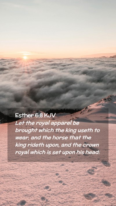 Picture 02 - Esther 6:8 KJV Mobile Phone Wallpaper - Let the royal apparel be brought which the king - Mobile Bible Verse Wallpaper