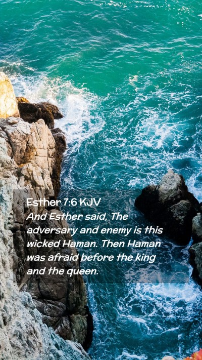Picture 02 - Esther 7:6 KJV Mobile Phone Wallpaper - And Esther said, The adversary and enemy is this - Mobile Bible Verse Wallpaper