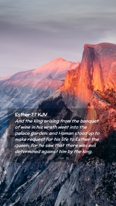 Picture 02 - Esther 7:7 KJV Mobile Phone Wallpaper - And the king arising from the banquet of wine in - Mobile Bible Verse Wallpaper