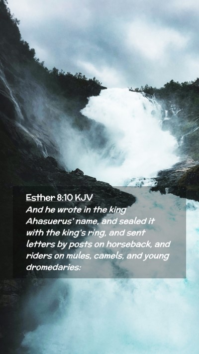 Picture 02 - Esther 8:10 KJV Mobile Phone Wallpaper - And he wrote in the king Ahasuerus' name, and - Mobile Bible Verse Wallpaper