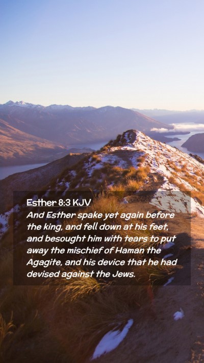 Picture 02 - Esther 8:3 KJV Mobile Phone Wallpaper - And Esther spake yet again before the king, and - Mobile Bible Verse Wallpaper