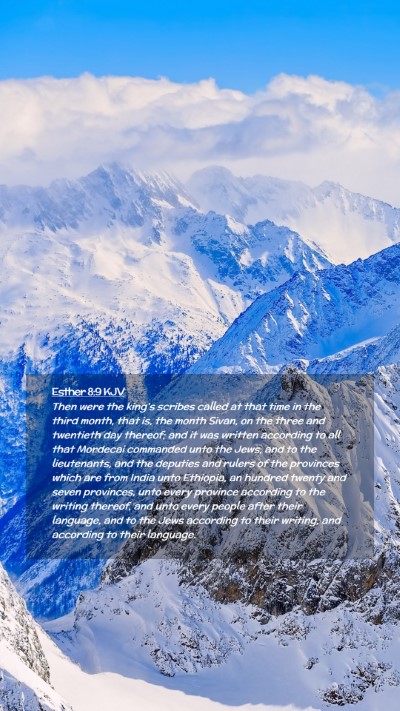 Picture 02 - Esther 8:9 KJV Mobile Phone Wallpaper - Then were the king's scribes called at that time - Mobile Bible Verse Wallpaper